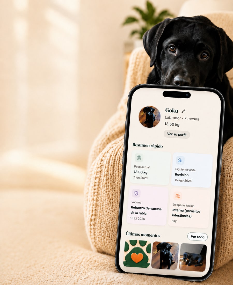 Goku junto al móvil con la app Peludio abierta